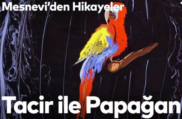 Mesneviden Hikaye; “Tacir İle Papağan”