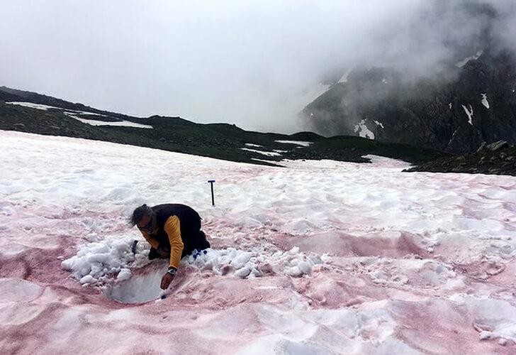 Kırmızı kar yağınca diye söz verenler. Kırmızı Kar Alplerde yağdı